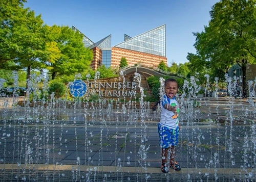 The Tennessee Aquarium